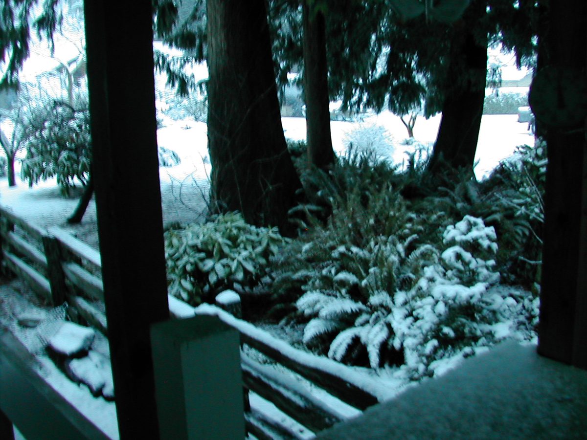 Snow 1