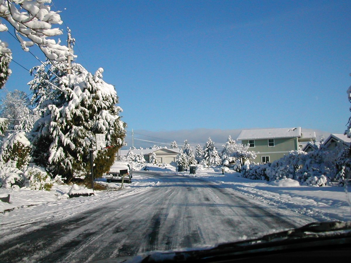 Snow 1